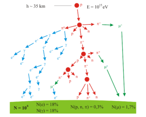 Schematic representation of a cosmic ray shower. The interaction of the primary proton with the atmosphere gives rise to secondary particles.